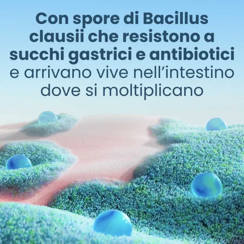 Enterogermina 4 Miliardi Fermenti Lattici 10 Flaconcini 5ml