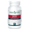 Erba Vita Bacopa Integratore per Memoria e Concentrazione 60 Capsule