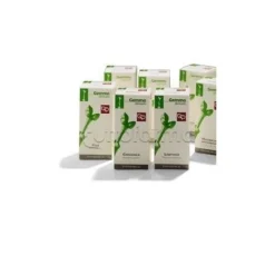 Fico d'India Macerato Glicerico per Funzioni Fegato 100ml