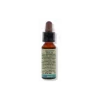 Fiori di Bach 3 Beech Di Leo 10 ml