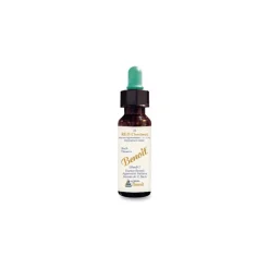 Fiori Di Bach Benoit Red Chestnut Ansia per i Cari 10 ml