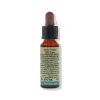 Fiori di Bach 17 Hornbeam Di Leo 10 ml