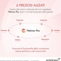 Flebinec Plus Integratore per Gambe e Microcircolo 14 Bustine