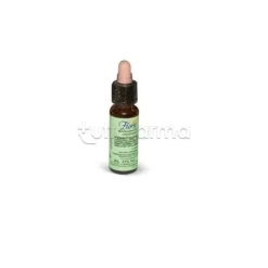 Florit 19 Larice Gocce per Autostima e Fiducia 10 ml