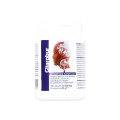 Gliarobur Integratore Cognitivo Bacopa Ginkgo PQQ Vitamine B 40 Capsule