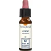 Gorse Original per Benessere Emotivo 10ml Gocce