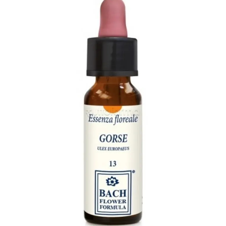Gorse Original per Benessere Emotivo 10ml Gocce