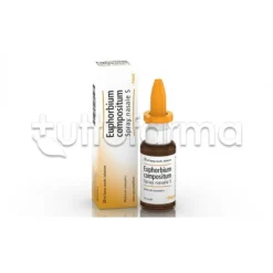 Guna Euphorbium Compositum Heel Spray Nasale Omeopatico per Sinusite 20ml