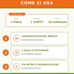 Guna MD Shoulder con Collagene 10 Flaconcini