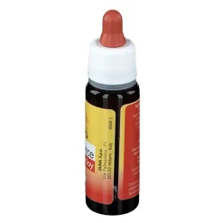 Guna Resource Enerjoy Fiori di Bach Energia e Vitalità Gocce 20ml