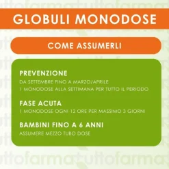 Homeos 42 Globuli Omeopatici per Prevenzione Influenza 30 Tubi Monodose