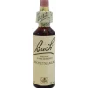 Honeysuckle Fiori di Bach per Nostalgia 20ml