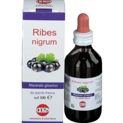 Kos Ribes Nigrum Macerato Glicerico per Naso e Gola 100ml