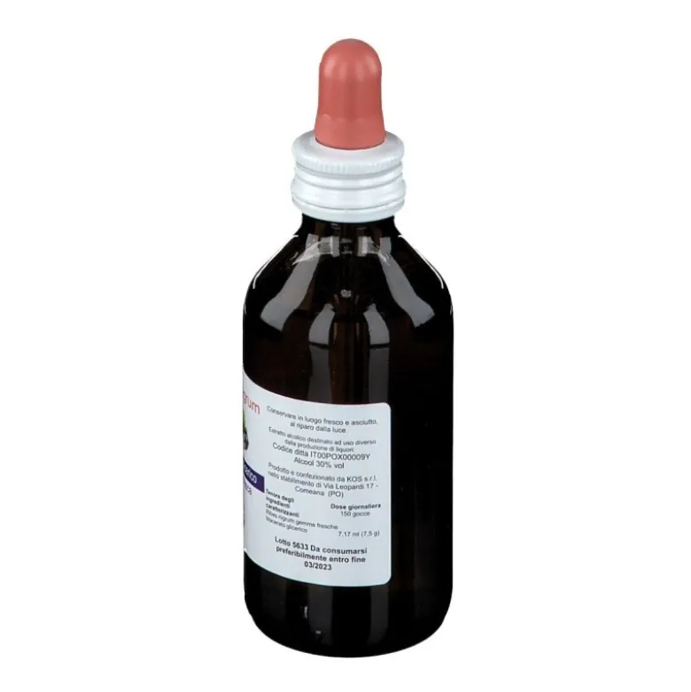 Kos Ribes Nigrum Macerato Glicerico per Naso e Gola 100ml
