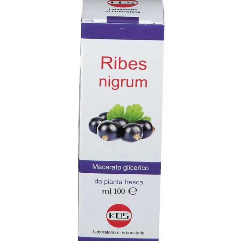 Kos Ribes Nigrum Macerato Glicerico per Naso e Gola 100ml