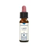Larch Original Gocce per Fiducia 10ml