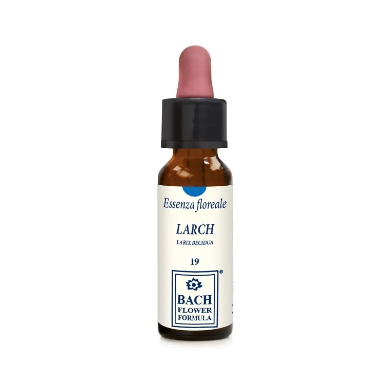 Larch Original Gocce per Fiducia 10ml