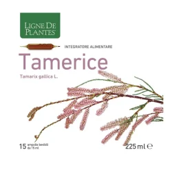 Ligne de Plants Tamerice Integratore per Colesterolo 15 Ampolle