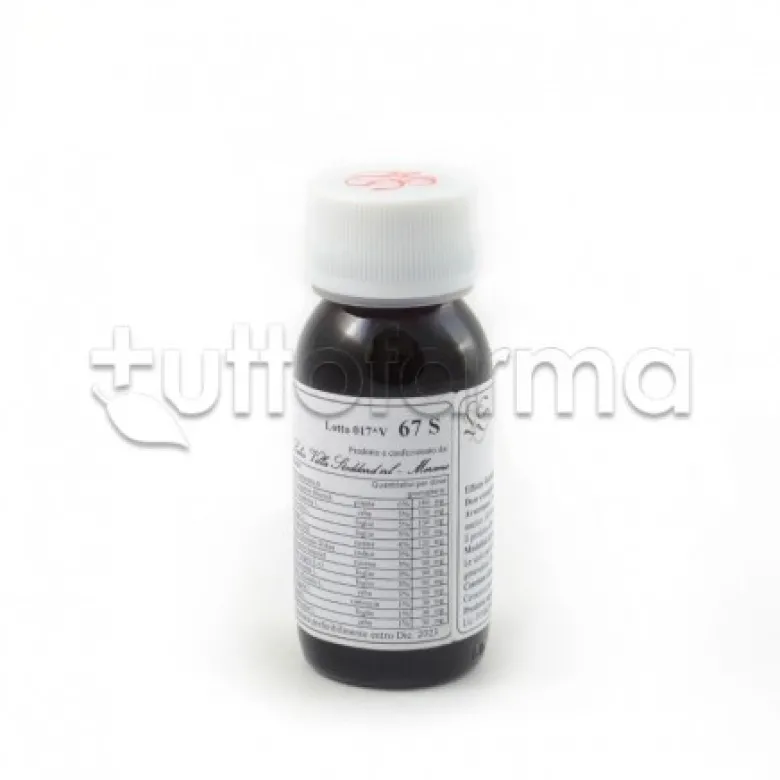 LVS 67S Echinacea Purpurea Compositum Gocce 60ml