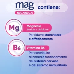 Mag Ricarica 24 Ore Integratore Energizzante 24 Bustine