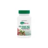 NaturesPlus Herbal Actives Riso Rosso Fermentato e Gugulipid 60 Capsule