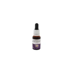 Natur Yellow Leschenaultia Essenza Floreale Australiana 15 ml