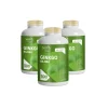 Noebis Ginkgo Biloba 3x500 Compresse da 450 mg