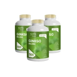 Noebis Ginkgo Biloba 3x500 Compresse da 450 mg