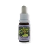 PHI Essences Love Orchid 15ml