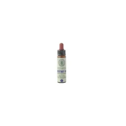 Princeps Fiori di Bach 7 Chestnut Bud Ippocastano Gocce 10ml