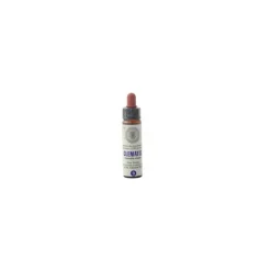 Princeps Fiori di Bach 9 Clematis Vitalba Gocce 10ml
