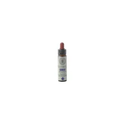 Princeps Fiori di Bach 13 Gorse Ginestrone Gocce 10ml