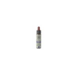 Princeps Fiori di Bach 34 Water Violet Gocce 10ml