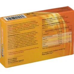 ProCognitiv per Favorire Memoria e Concentrazione 20 Capsule