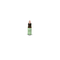 PromoPharma Florit 7 Chestnut Bud Ippocastano Fiori di Bach 10 ml