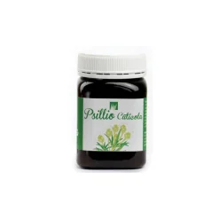 Psillio Cuticola per Regolarità Intestinale 200 g