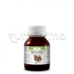 Renaco Shiitakefungus Integratore per Difese Immunitarie 60 Capsule