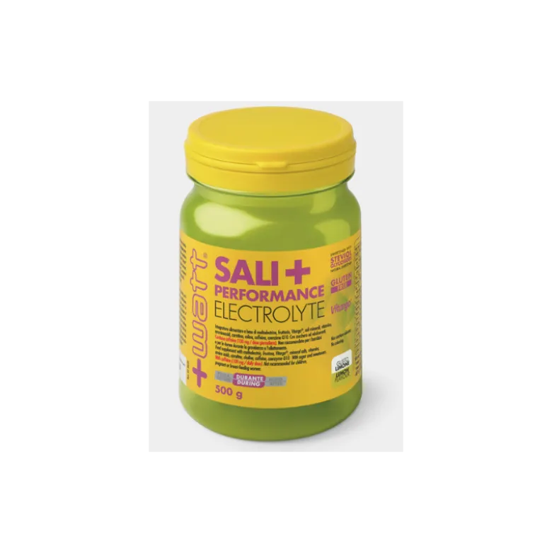 Sali+ Performance Electrolyte Integratore Energizzante Limone 500g