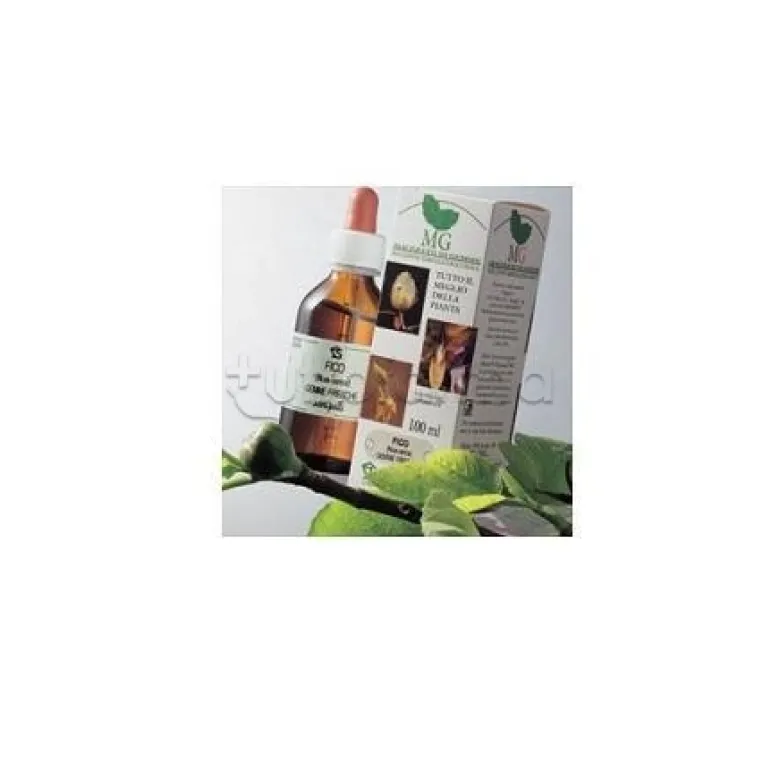 Sangalli Ippocastano Macerato Glicerico 100ml