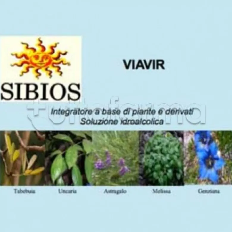 Sibios Viavir per Difese Immunitarie 50ml