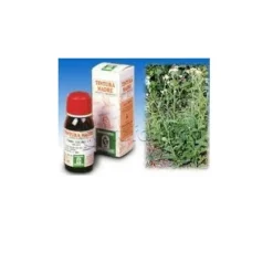 Specchiasol Achillea 51 Tintura Madre 50ml