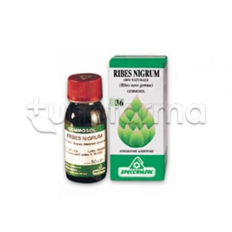 Specchiasol Gemmosol Ribes Nero Macerato Glicerico 100 ml