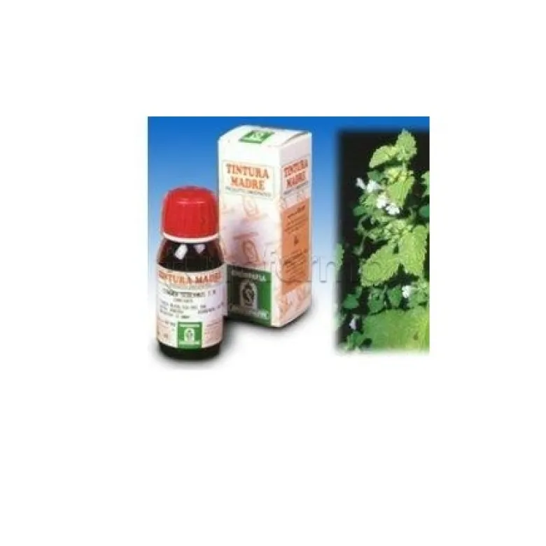 Specchiasol Melissa 17 Tintura Madre 50ml