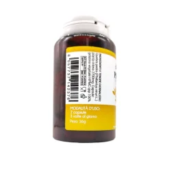 Sygnum Phillantus Niruri Integratore per Vie Urinarie 80 Capsule