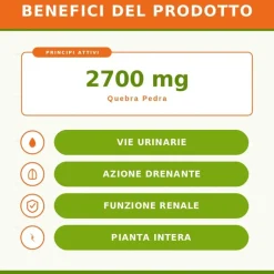 Sygnum Phillantus Niruri Integratore per Vie Urinarie 80 Capsule