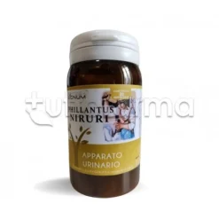 Sygnum Phillantus Niruri Integratore per Vie Urinarie 80 Capsule