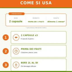 Sygnum Phillantus Niruri Integratore per Vie Urinarie 80 Capsule