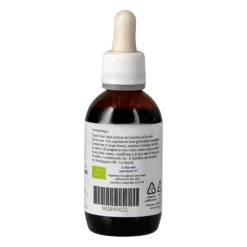 Vegetal Progress Angelica Archangelica Estratto Idroalcolico per Digestione 50ml