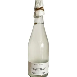 Vegetal Progress Linfabet Blanc Linfa di Betulla Frizzante Depurativa 750 ml