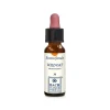 Wild Oat per Chiarezza e Determinazione 10 ml